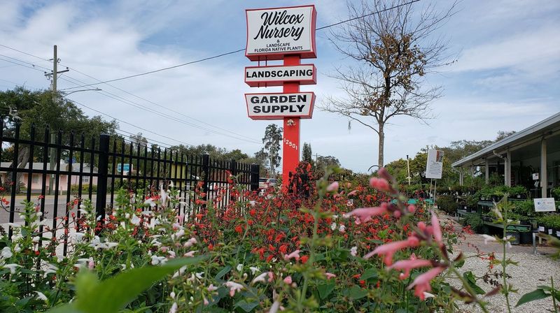 Wilcox Nursery and Landscape