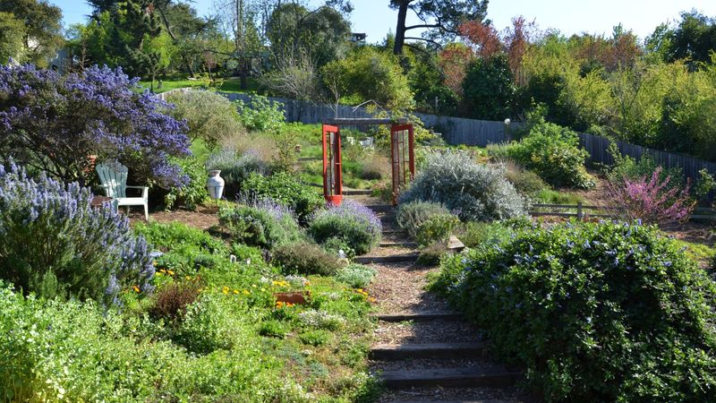 Wildlife habitat still has to fit California fire safety