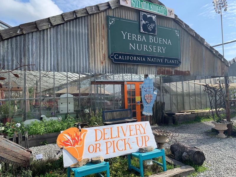 Yerba Buena Nursery (Half Moon Bay)