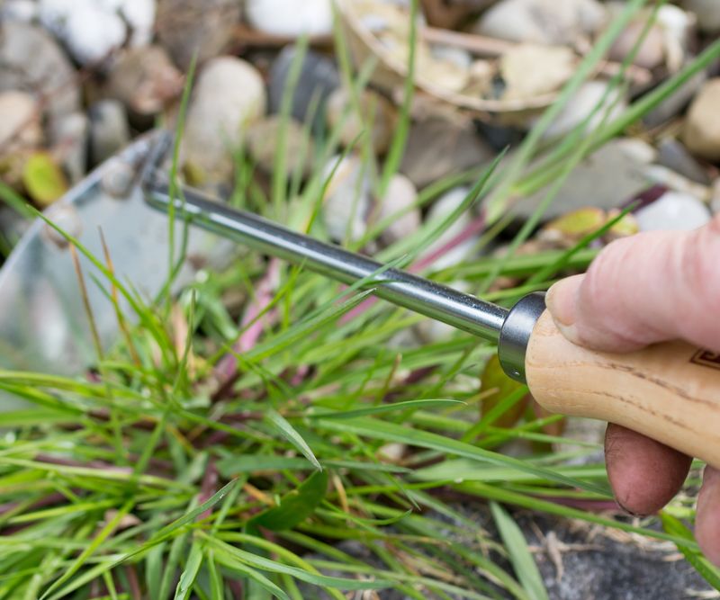 Young annuals and spreading perennials need different responses