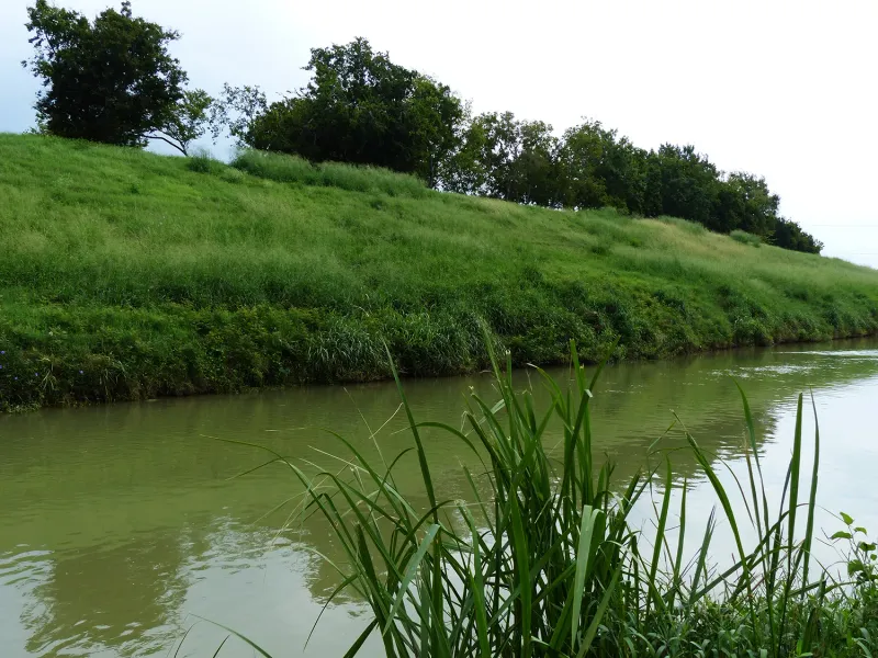 Your yard may sit beside a larger wetland edge Your yard may sit beside a larger wetland edge