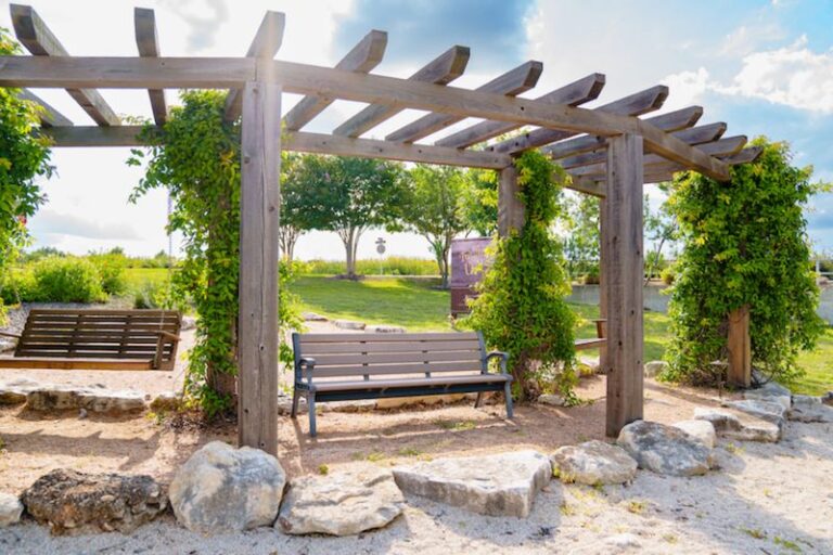 The Native Texas Vine That Blankets a Pergola in Cool Shade Without Dropping Leaf Litter All Over Your Patio
