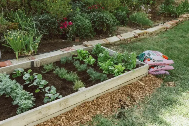 Your Raised Beds Underperform No Matter What You Grow — Here’s What Roots Actually Need in the Soil
