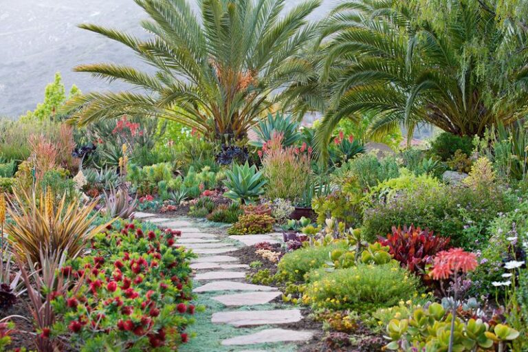 Low-Maintenance North Carolina Border Plants That Hold Their Shape All Summer Without a Single Fuss