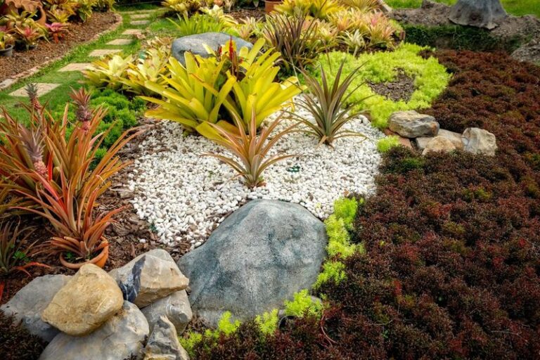 7 Florida Native Ground Covers That Replace Bark Mulch and Stop Floating Away in Summer Storms