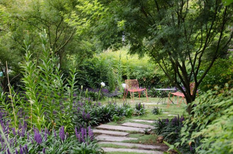 Your Shady Border Grows Nothing but You’ve Been Planting the Wrong Things – Here Are the Ones That Thrive There