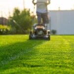 Mow Your Lawn at the Wrong Time and You Stress It Fast – Here’s the Right Window in Summer Heat