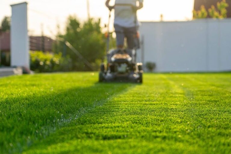 Mow Your Lawn at the Wrong Time and You Stress It Fast – Here’s the Right Window in Summer Heat