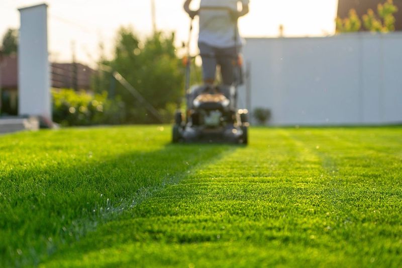 Mow Your Lawn at the Wrong Time and You Stress It Fast – Here’s the Right Window in Summer Heat