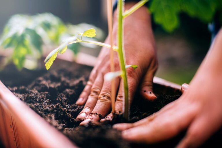 Don’t Toss Your Spent Potting Soil This Fall – Here Are 9 Ways to Bring It Back to Life