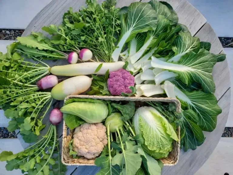 Start These California Fall Vegetables Now in Late Summer So You Harvest Before the First Cold Snap