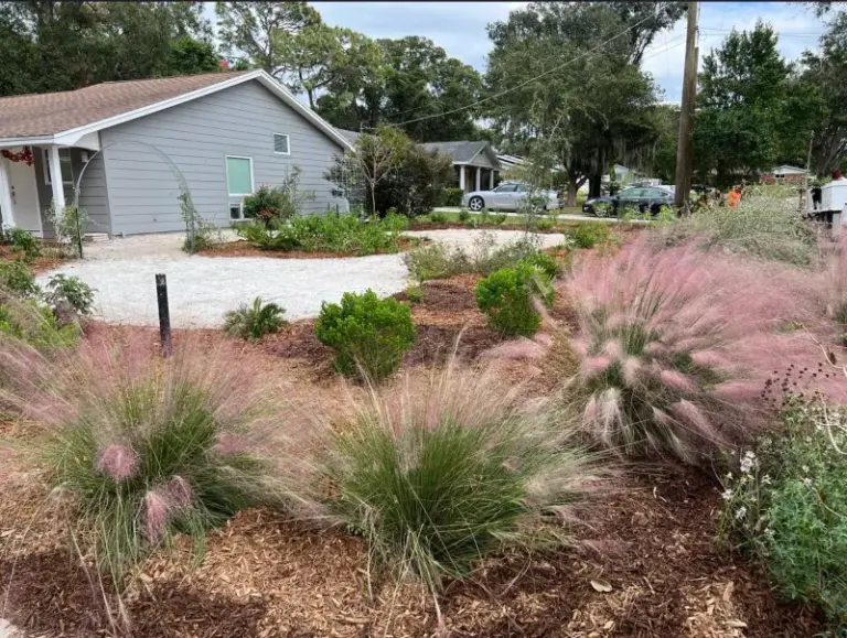 The Low-Maintenance Florida Native Plants Taking Over Front Yards This Fall With Almost No Fuss