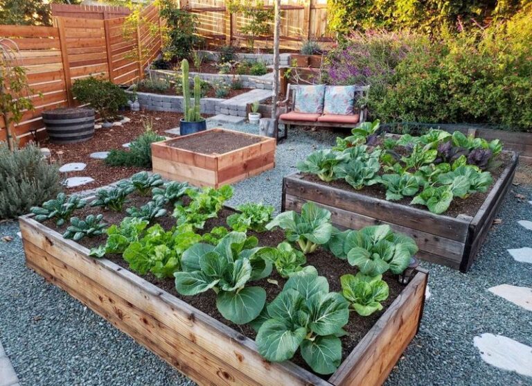 Your Raised Beds Struggle With Some Vegetables – Here Are the Crops That Thrive and the Ones to Skip