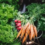 7 Florida Vegetables to Plant Right Now for a Winter Harvest That Beats Your Neighbor’s Empty Beds