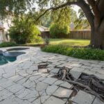 Can Your California Neighbor Legally Cut Your Tree’s Roots Once They Creep Under Their Side of the Fence?