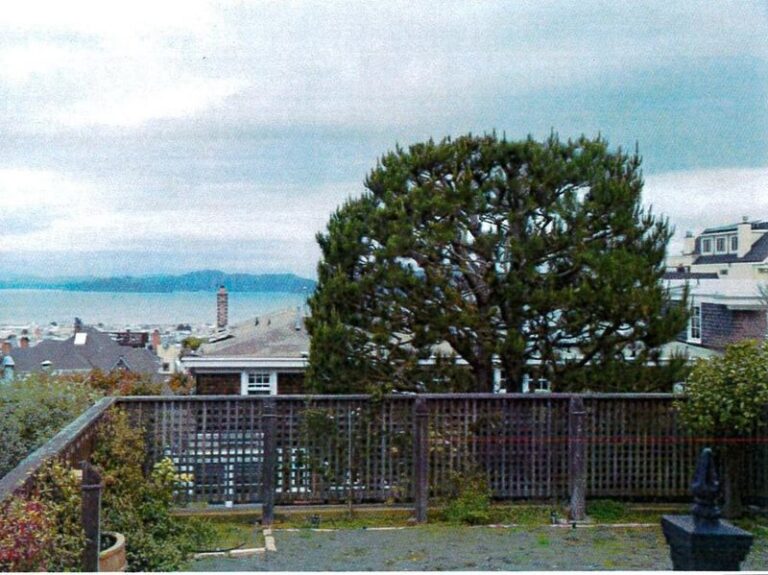 Can Your California Neighbor Actually Make You Cut Down a Backyard Tree Because It Drops Leaves on Their Side?