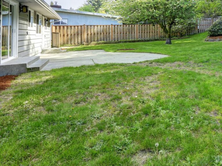 Your Lawn Turns Bumpy and Uneven and You Don’t Need Heavy Equipment to Level It Back Out
