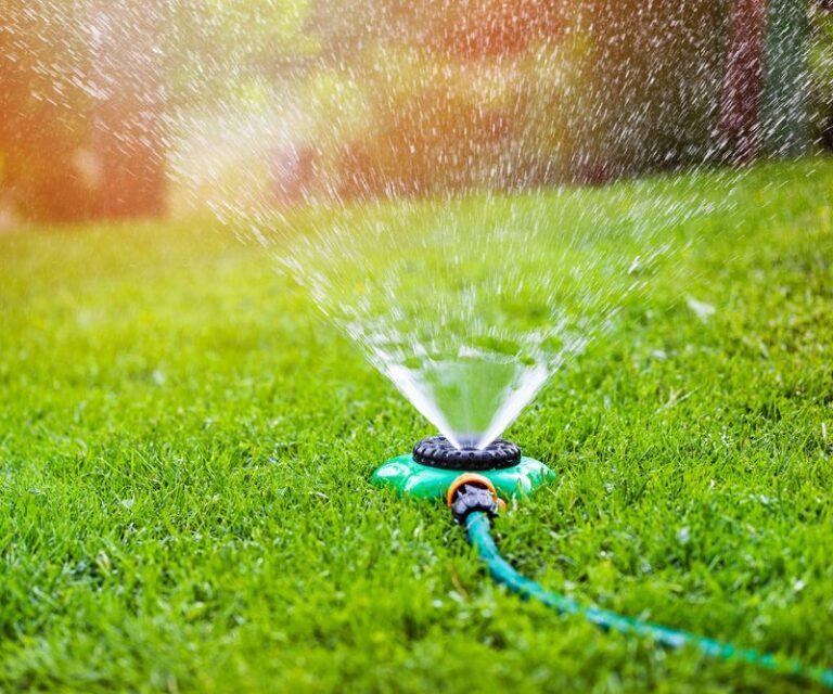 If Your Lawn Struggles in the Summer Heat, Here’s the Truth About Watering It in Full Sun