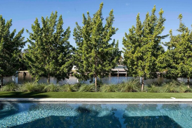 7 Florida Native Trees That Screen Your Yard Better Than Podocarpus and Actually Belong Here