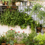 Don’t Move These 8 Houseplants Indoors This Fall – Here’s Why Each One Backfires