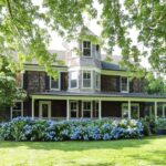 Where You Plant Hydrangeas Along the House Decides Whether They Bloom or Sulk for Years