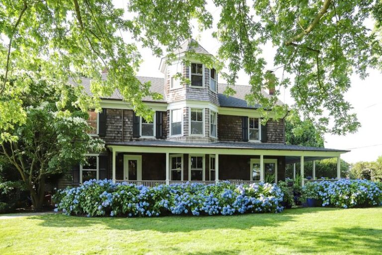Where You Plant Hydrangeas Along the House Decides Whether They Bloom or Sulk for Years