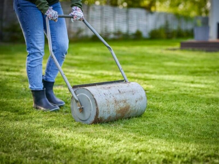 Your Lawn Is Lumpy and Uneven – Here’s How to Level It Smooth Without Renting Heavy Equipment