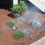 What California Fire Officials Are Warning About Bark Mulch Piled Against the House, and What to Use Instead