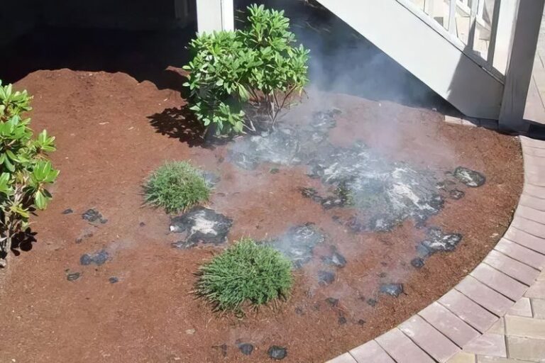 What California Fire Officials Are Warning About Bark Mulch Piled Against the House, and What to Use Instead
