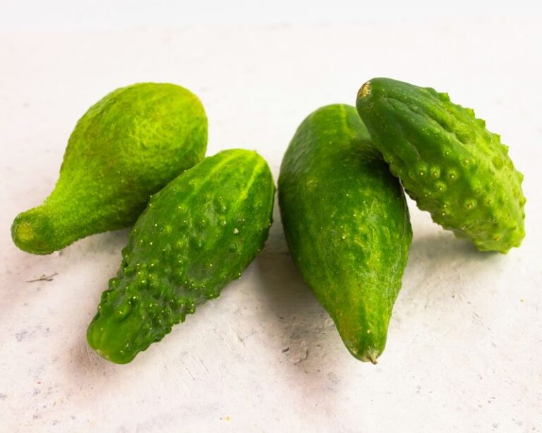 If Your Cucumber Fruit Grows Fat at One End and Pinches at the Other in Late-Summer Heat, Uneven Pollination Is Usually Behind It