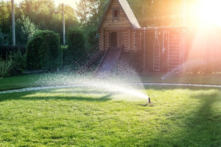 Your Green Lawn Turns Patchy and Brown Every Summer — Here’s the One Mistake Behind It