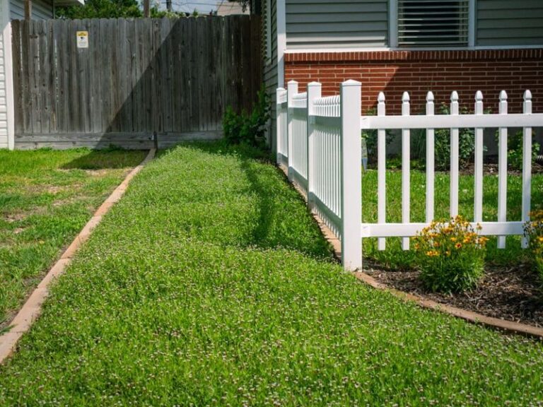 The Native Texas Groundcover Homeowners Are Using Instead of Mulch That Looks Better and Never Needs Refilling