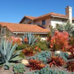 The Wildfire-Resistant Plants California Homeowners Keep Putting Closest to the House That Still Look Good