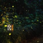 This Native Texas Plant Along Your Fence Brings Fireflies Back To Your Central Texas Yard Every Summer