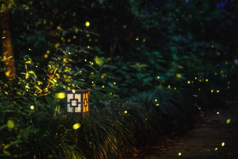 This Native Texas Plant Along Your Fence Brings Fireflies Back To Your Central Texas Yard Every Summer