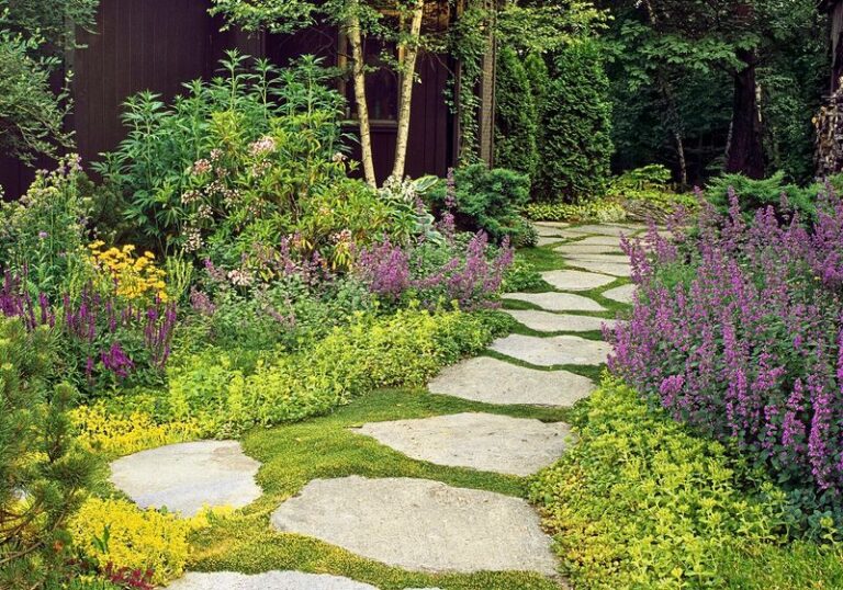 The California Groundcovers That Blanket a Yard So Thick Weeds Never Get a Foothold
