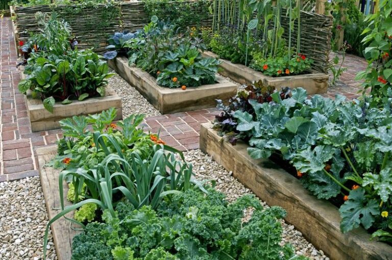 7 Vegetables That Struggle in North Carolina Raised Beds and 7 That Thrive All Season