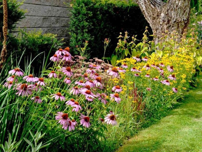 Your Drought-Stressed Beds Dry Out Fast in Late-Summer Heat – Here Are the Flowers That Keep Blooming on Barely Any Water