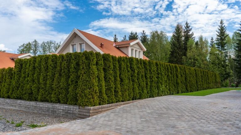 Can Your California Neighbor Actually Force You to Cut Back a Hedge Growing on Your Own Side of the Fence?