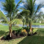 7 Florida Palm-Pruning Mistakes That Weaken Your Trees Right Before Hurricane Season Hits