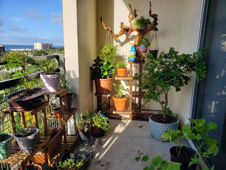 7 Florida Native Plants That Turn a Bare Patio Into a Spot Ticks and Mosquitoes Skip