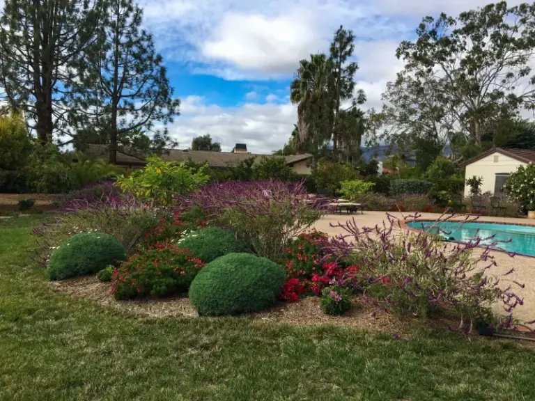 The California Nurseries Where Gardeners Quietly Track Down Drought-Tolerant Natives the Big Garden Centers Never Carry