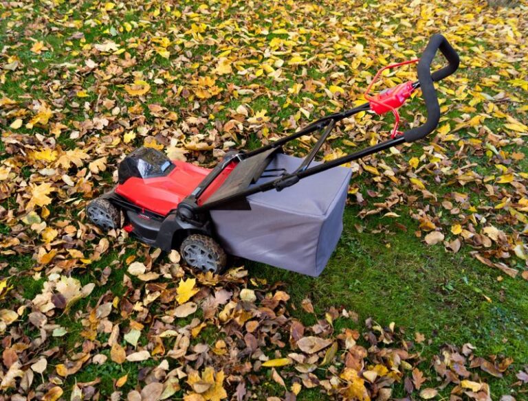 Tired of Raking Leaves Every Fall? Here’s What Mowing Over Them Instead Does for Your Lawn