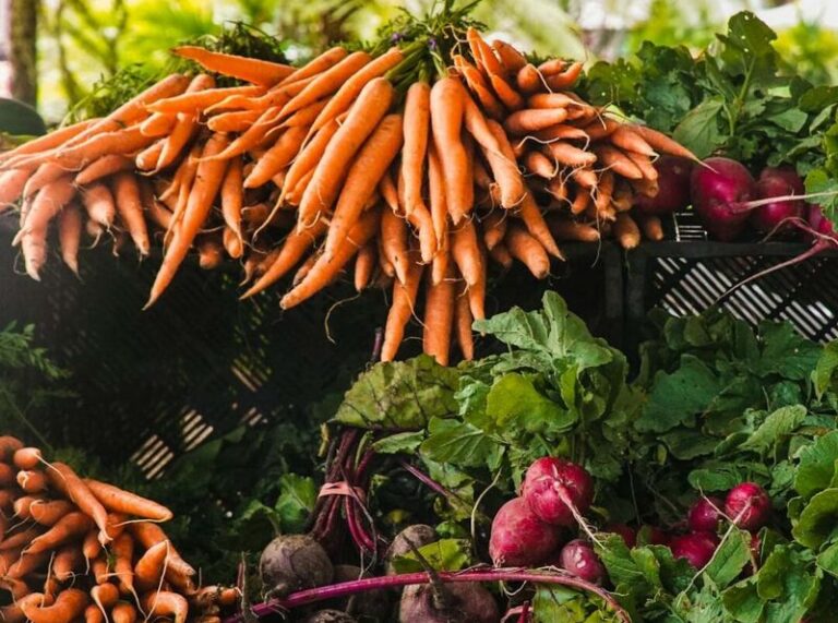 The Native Texas Vegetables Homeowners Grow to Sell From the Backyard for Real Cash All Season