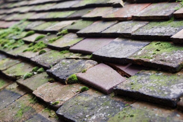 Your Patio and Porch Roof Turn Green and Slick in the Humidity – Here’s the Cheap Fix That Wipes It Off