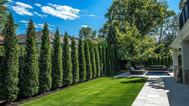 The California Privacy Plants That Actually Use Summer Heat to Grow Fuller While Everything Else Fries