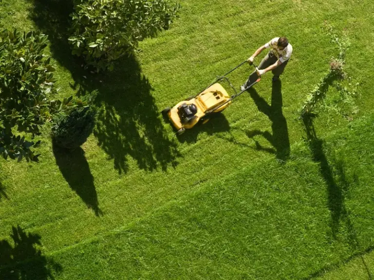 The Bermuda Grass Mowing Mistake That’s Scorching Central Texas Lawns Right Through the Late-Summer Heat