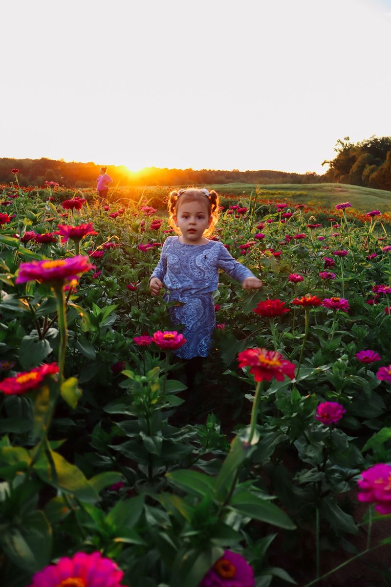 A Family Day Out with Room to Roam A Family Day Out with Room to Roam