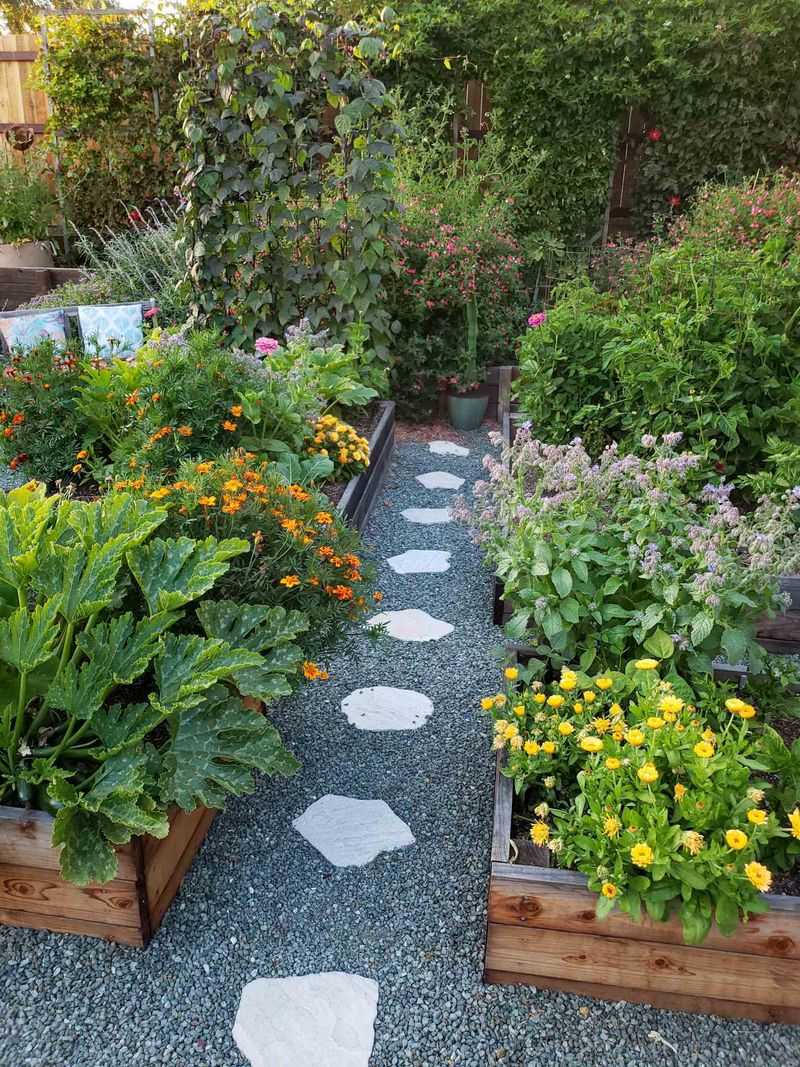A Mixed Planting Can Disrupt How Some Pests Find Hosts A Mixed Planting Can Disrupt How Some Pests Find Hosts