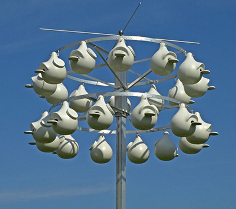 A North Austin Home Base for Purple Martin Housing